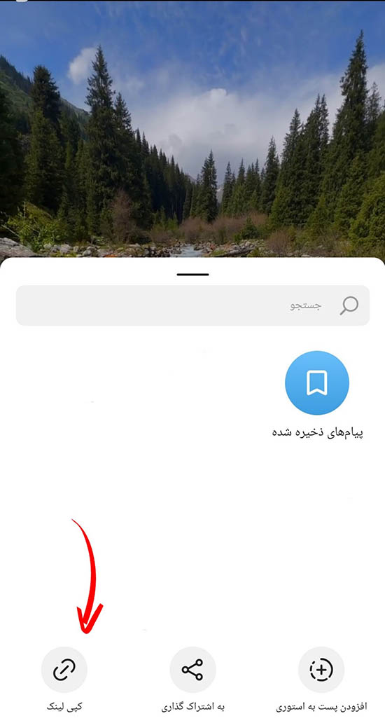 ربات دانلود پستهای روبیکا
